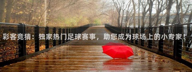 彩客竞猜：独家热门足球赛事，助您成为球场上的小专家！