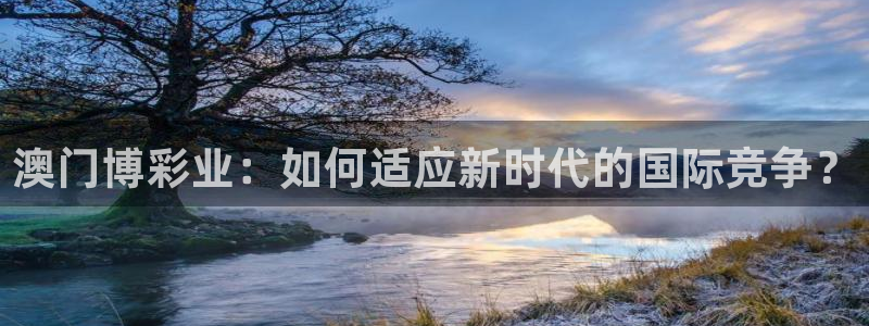 必发集团app下载安装：澳门博彩业：如何适应新时代的国际竞争？