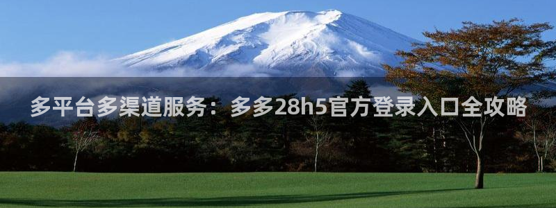 必发集团app下载安装：多平台多渠道服务：多多28h5官方登录入口全攻略